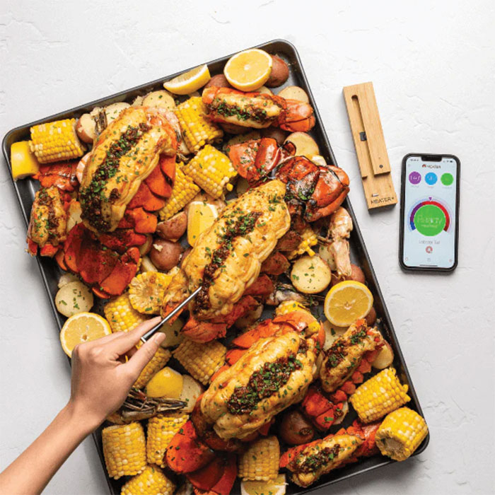 The Meater Plus+  Wireless Thermometer – Grillmaster's Boutique